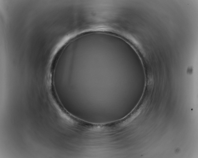 X0000100951414200807081207