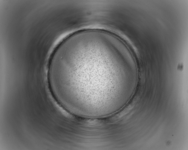 X0000100951416200807081207