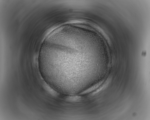 X0000100951417200807081207