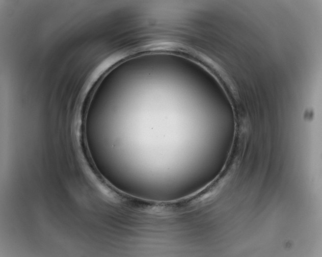 X0000100951418200807081207
