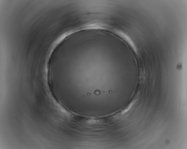 X0000100951419200807081207