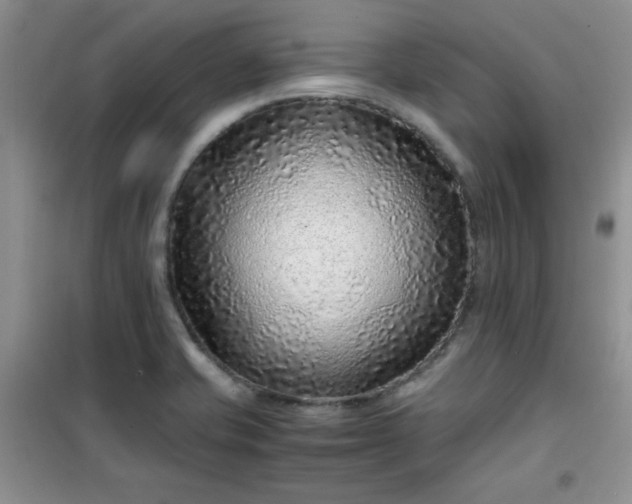 X0000100951421200807081207