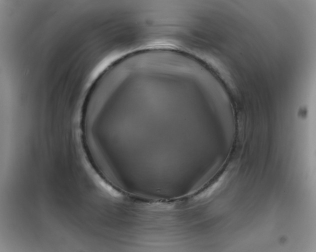 X0000100951422200807081207