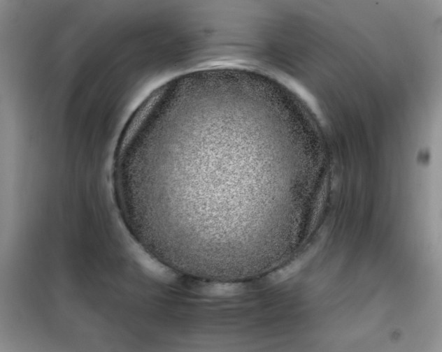 X0000100951423200807081207