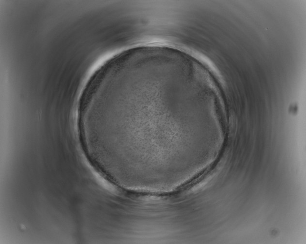 X0000100951424200807081207