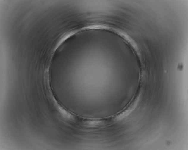 X0000100951425200807081207