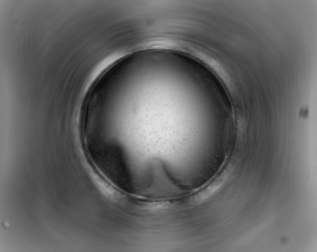 X0000100951426200807081207