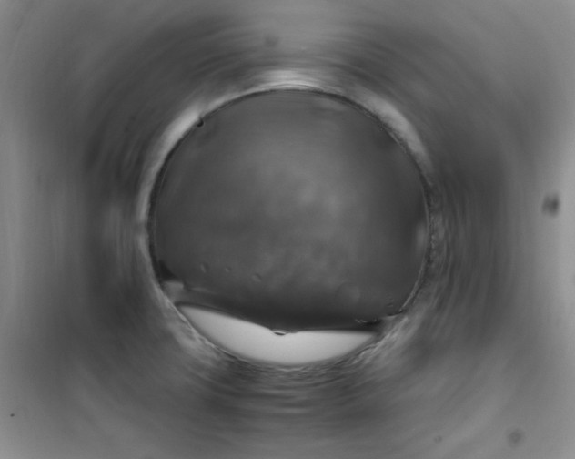 X0000100951427200807081207