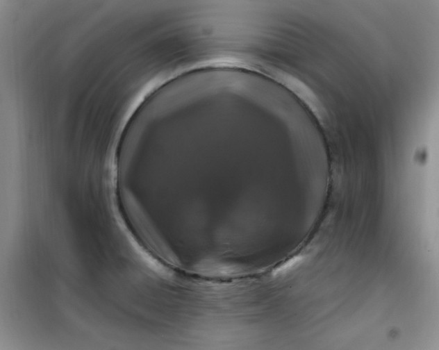 X0000100951428200807081207