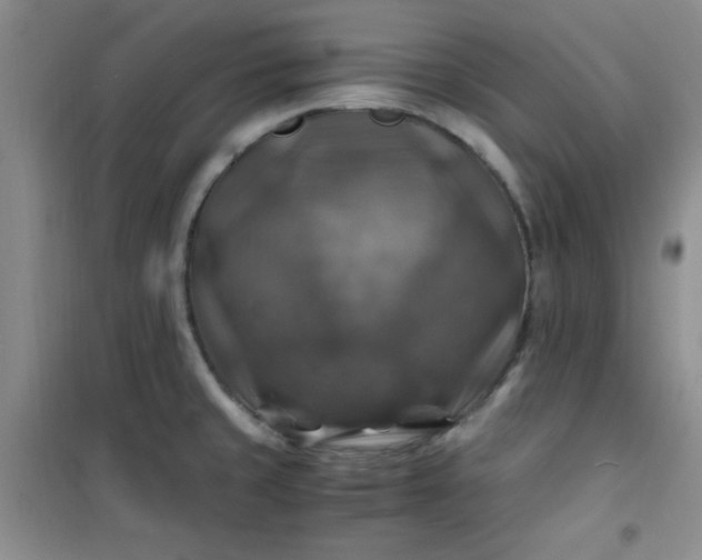 X0000100951429200807081207