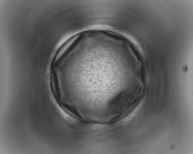 X0000100951430200807081207