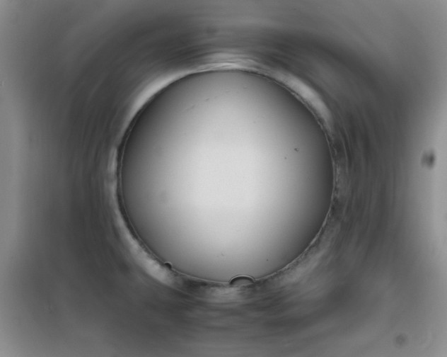 X0000100951431200807081207