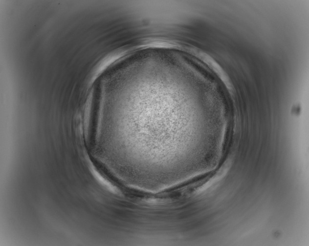 X0000100951433200807081207