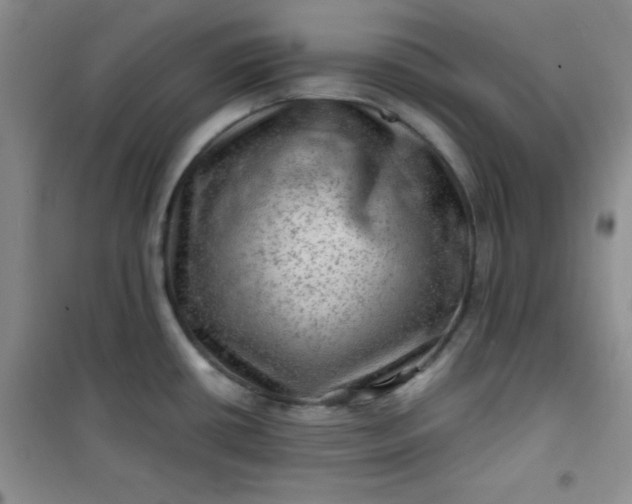 X0000100951434200807081207