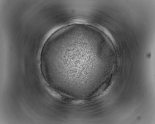 X0000100951435200807081207