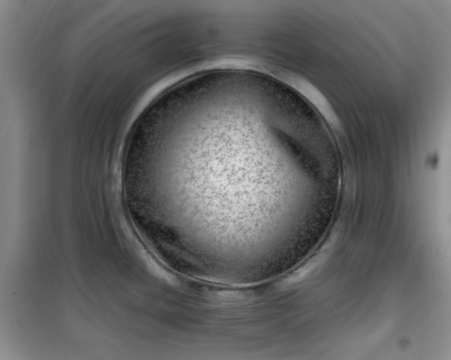 X0000100951436200807081207