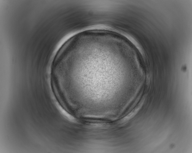 X0000100951438200807081208
