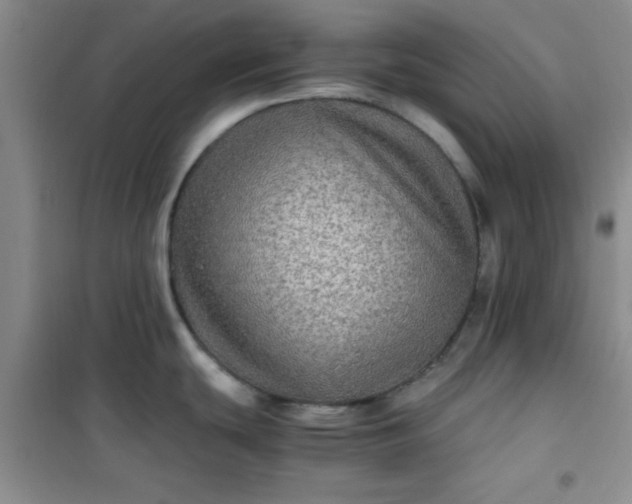 X0000100951439200807081208