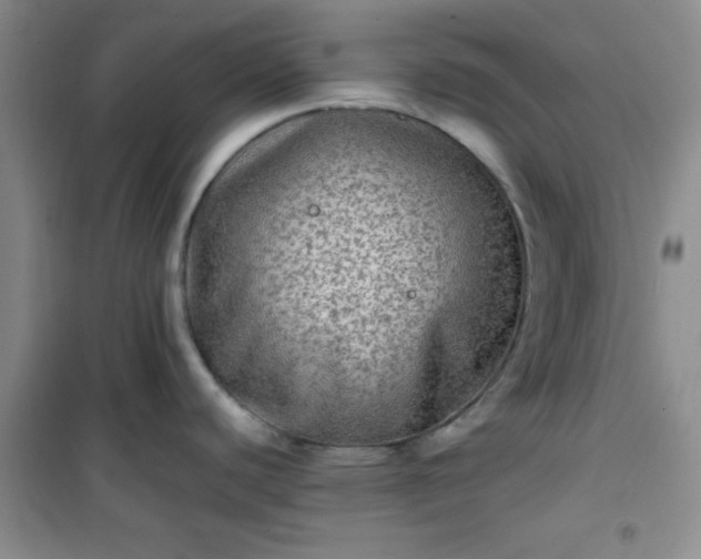 X0000100951440200807081208