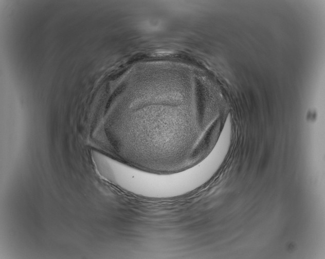 X0000100951441200807081207