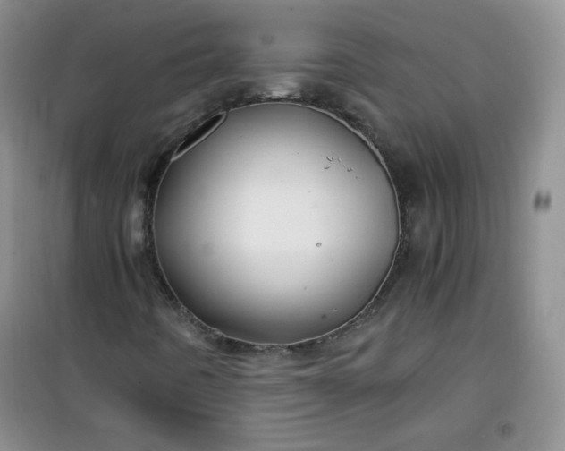 X0000100951442200807081207