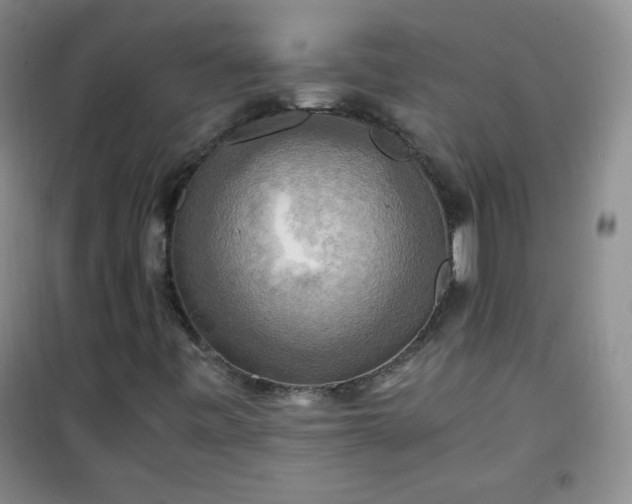 X0000100951443200807081207