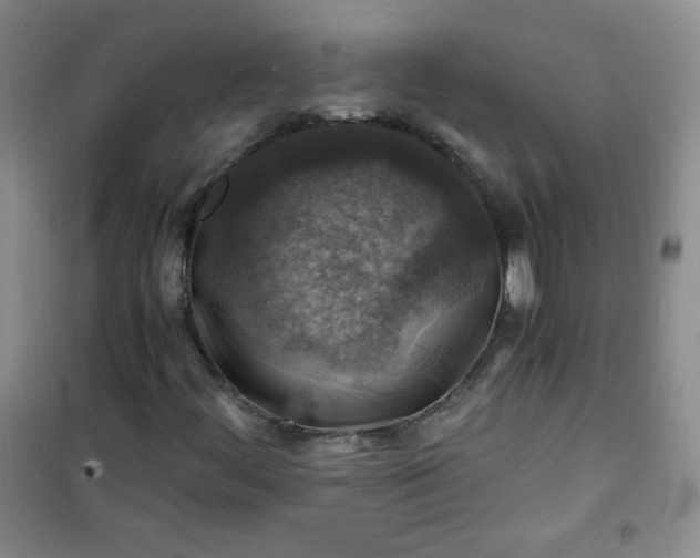 X0000100951444200807081207