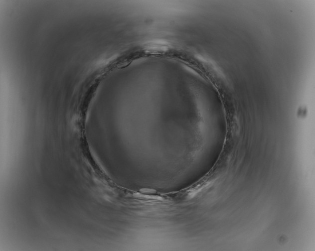 X0000100951445200807081207