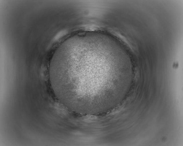 X0000100951446200807081207