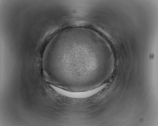 X0000100951447200807081207