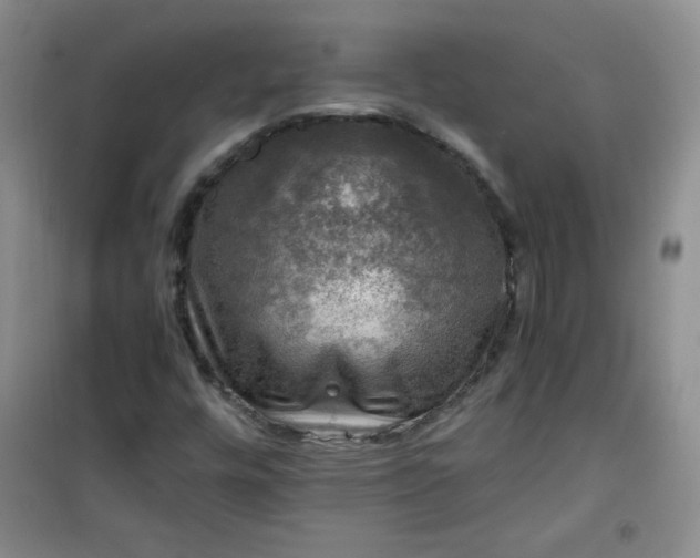 X0000100951448200807081207