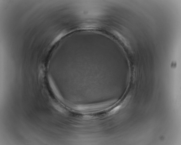 X0000100951449200807081207