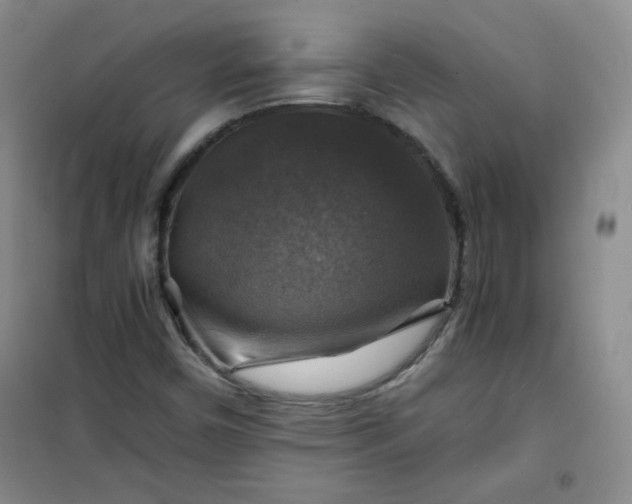 X0000100951450200807081207