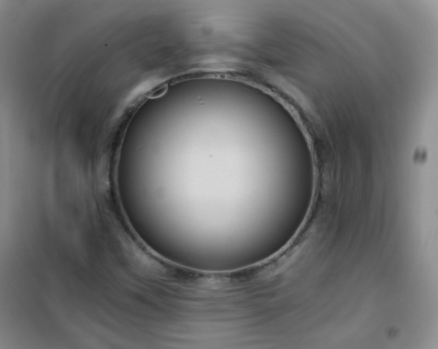 X0000100951451200807081207