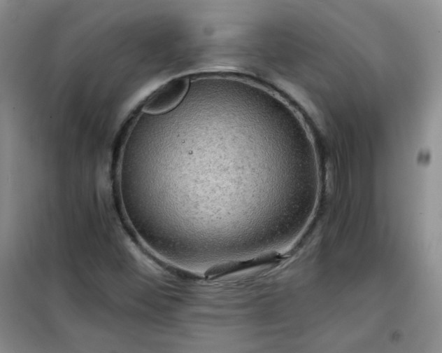 X0000100951452200807081207