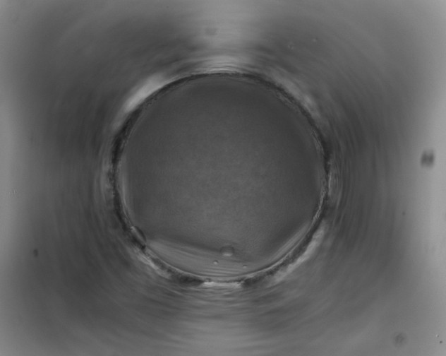 X0000100951453200807081207