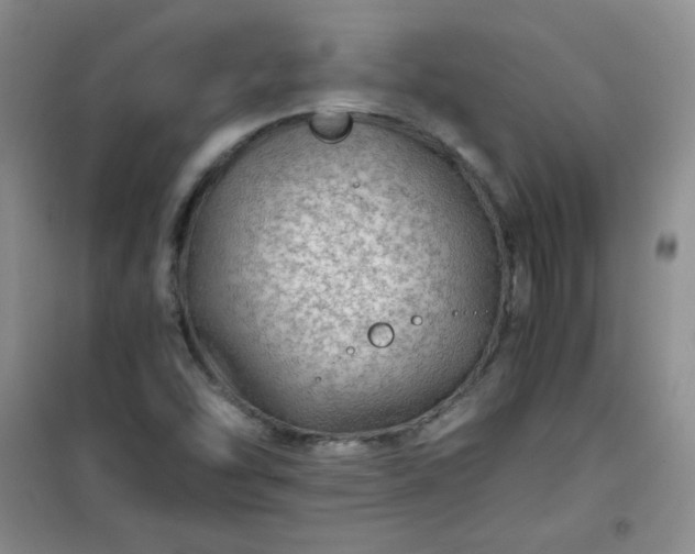 X0000100951454200807081207