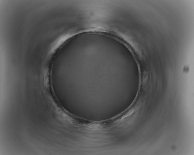 X0000100951455200807081207