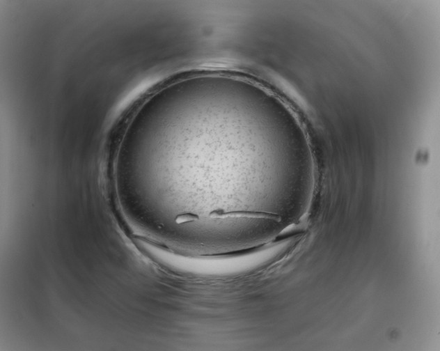 X0000100951456200807081207