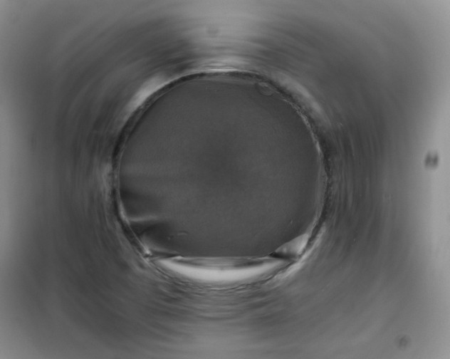 X0000100951457200807081207