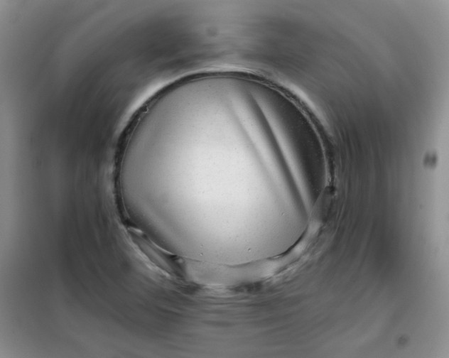 X0000100951460200807081207