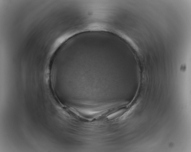 X0000100951461200807081207