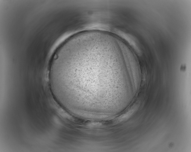 X0000100951462200807081206