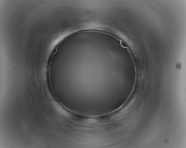 X0000100951463200807081206