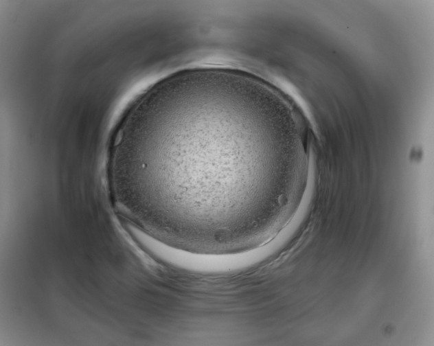 X0000100951464200807081206