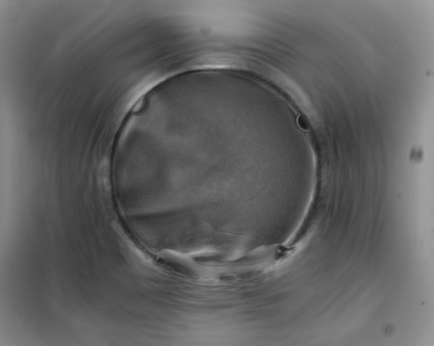 X0000100951465200807081206