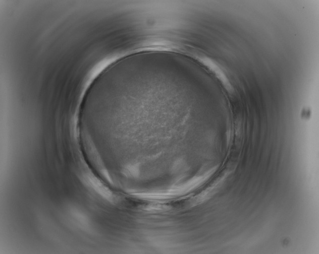 X0000100951466200807081206
