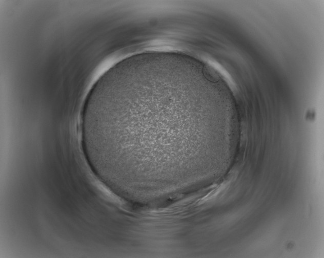 X0000100951467200807081206