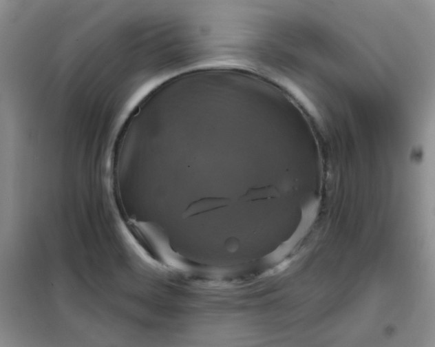X0000100951468200807081206