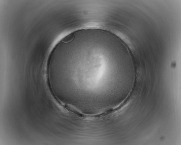 X0000100951469200807081206